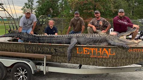 Georgia Dad Daughter Catch 14 Foot 700 Pound Monster Alligator