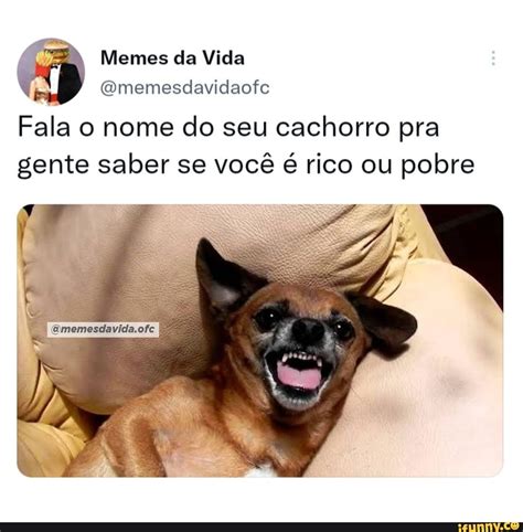 Memes Da Vida Memesdavidaofc Fala O Nome Do Seu Cachorro Pra Gente