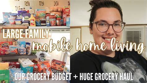 💰 OUR GROCERY BUDGET + HUGE GROCERY HAUL | large family doing mobile