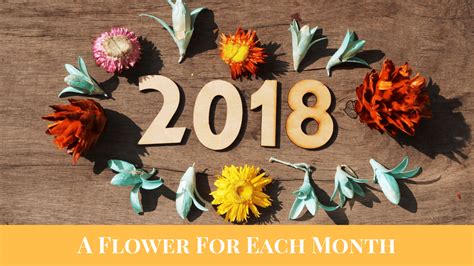 And probably cheap ones or ones picked from the side of the road or. 2018 In Flowers: A Flower For Each Month | 2018 Retrospective