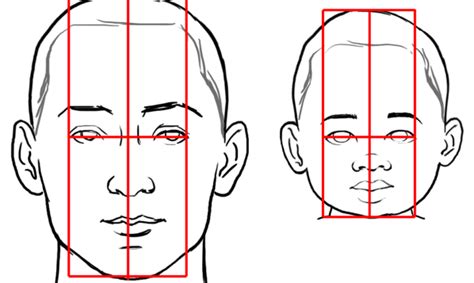 Drawing A Childs Face Mastering Proportions Drawings Face