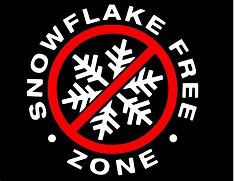 Snowflake Free Zone Decal Etsy