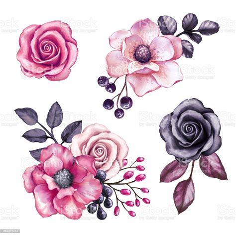 Watercolor Illustration Pink Flowers And Black Leaves