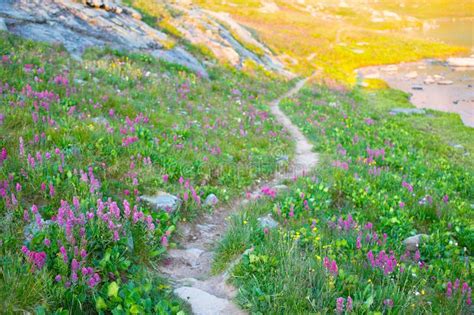 A Trail By Ice Lake In The San Juan Mountains Of Colorado Stock Photo
