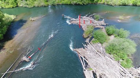 State Warns Boaters About Log Jam On Mckenzie River Near Riverbend Kmtr