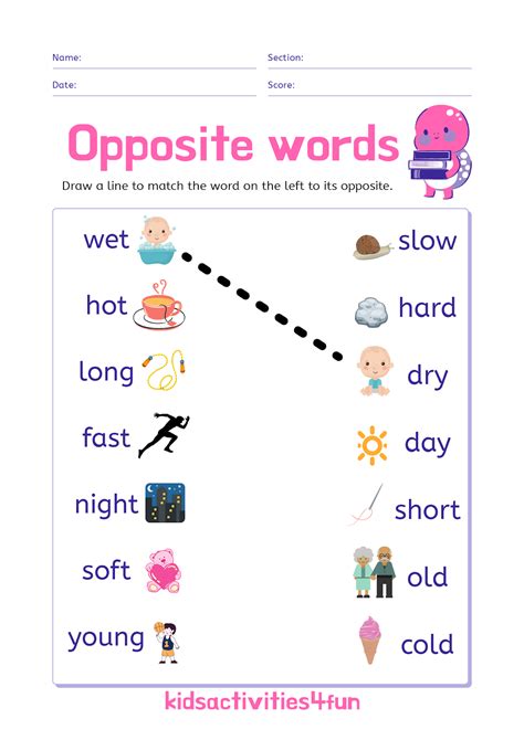 Opposite Words Worksheet Exercises For Class Examples With Answers