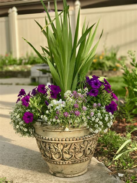 10 Flower Pot Arrangements For Outdoor