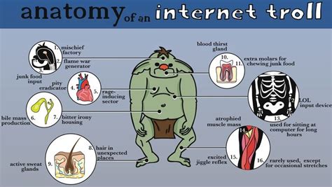 the anatomy of an internet troll is shown in this graphic above it s caption