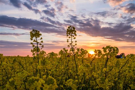 Maybe you would like to learn more about one of these? Wallpaper Pemandangan Resolusi Tinggi | Stok Wallpaper