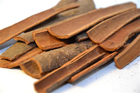 Free Photo Pieces Of Cinnamon Bark Aroma Flavouring Tree Free