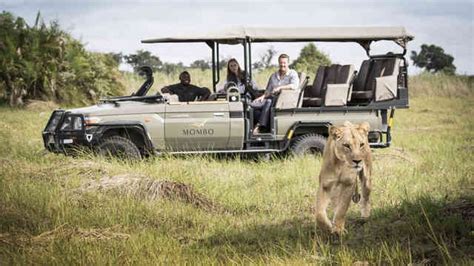 Mombo Camp Botswana Safaris And Tours High Adventure Safaris