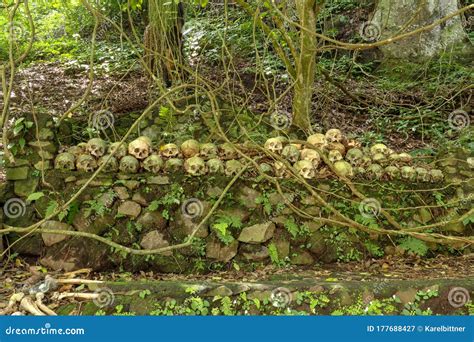 Skulls At Kuburan Terunyan Cemetery On The Island Of Bali Human Skulls Stacked In Rows On Top