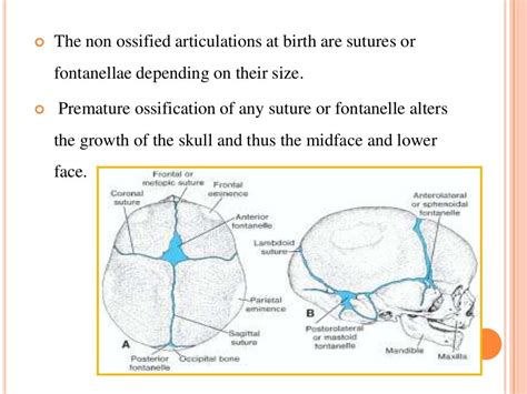 Growth And Development Of Cranium And Face