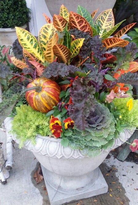 Outdoor Urn Planting With Kale Peppers Pansies Etc Fall Container