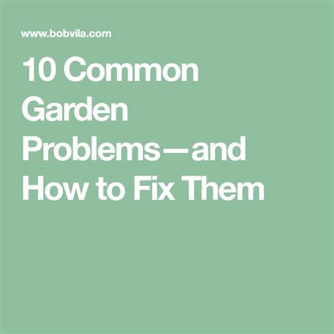 10 Common Garden Problems—and How To Fix Them Veggie Patch Bountiful