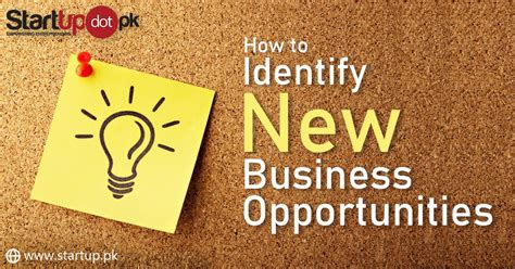 4 Ways To Identify New Business Opportunities Startupdotpk