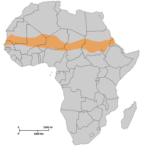 Les Effets Du Changement Climatique Au Sahel Médiaterre