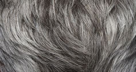 Do You Have Gray Hair Here Is How You Will Get Your Natural Hair Color