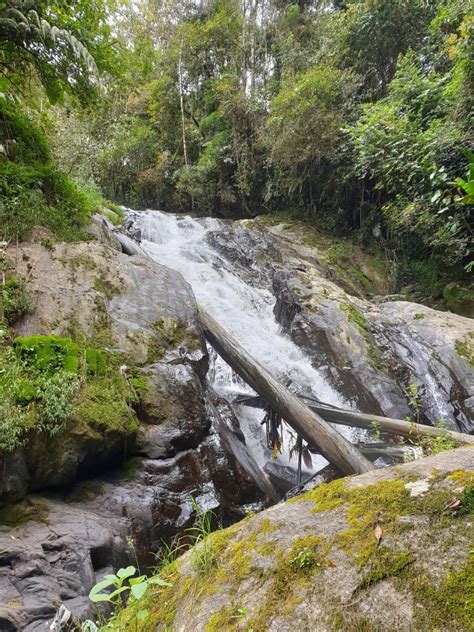 This small waterfall (more of a cascade) can be. Malaysia • Cameron Highlands • Sehenswürdigkeiten | have ...