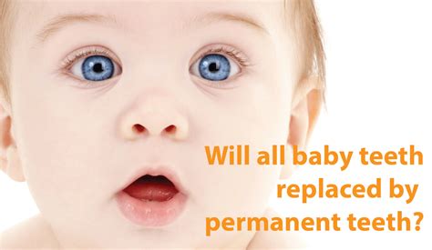 Profesional dental cosmetic and oral care. Will all baby teeth be replaced by permanent teeth? - Dr ...