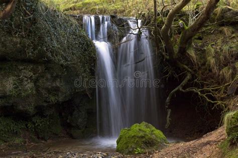 Waterfall Cascading Through Tree Roots Tufa Dam L Stock Image Image