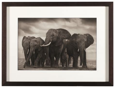 Nick Brandt B 1966 Elephant Five Amboseli 2008 Christies