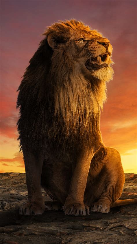 The King Lion Animal Digital Art Fierce Lion Lockscreen Lion