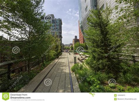 Urban stems flowers new york. High Line. Urban Public Park, New York City, USA Stock ...