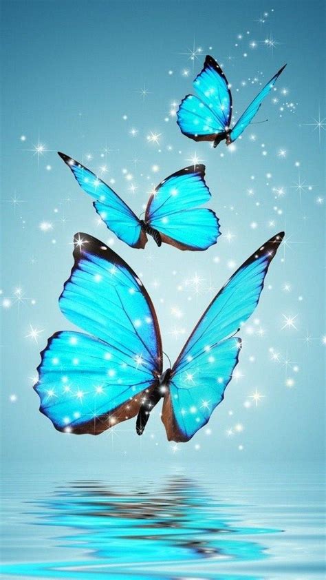 Blue Butterfly Wallpaper For Mobile Android Best Wallpaper Hd Blue