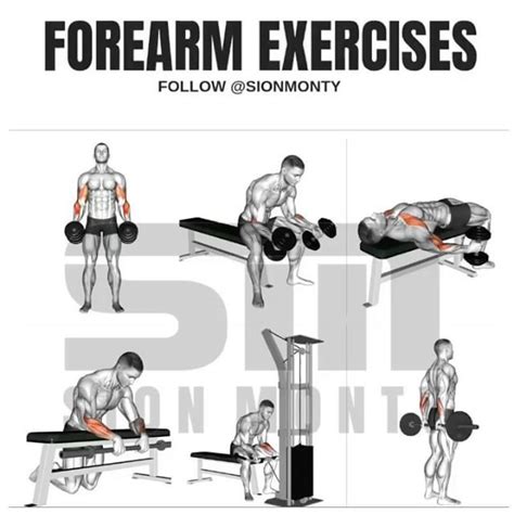 4 Powerful Workouts For Bigger Forearms Forearm