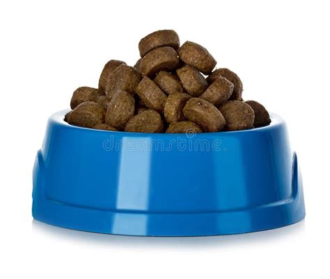 Dry Dog Food In Bowl Stock Photo Image Of Healthy Plastic 53716008