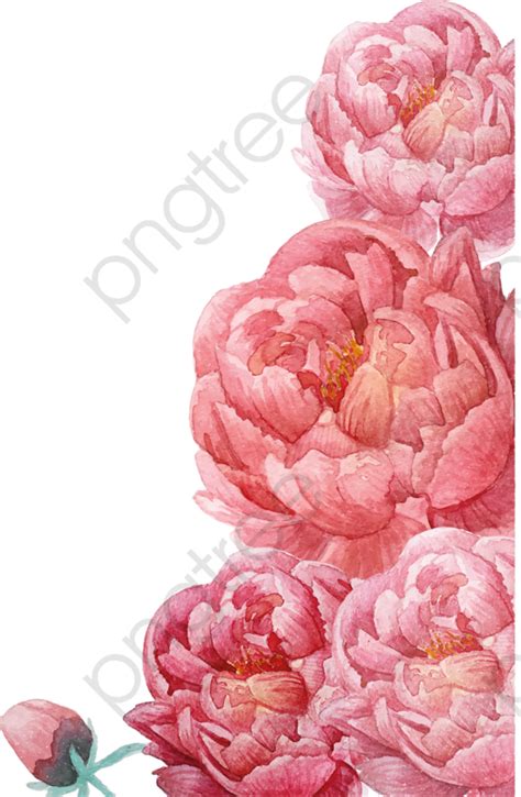 Pink Watercolor Flowers, Watercolor Clipart, Pink, Watercolor PNG Transparent Clipart Image and ...