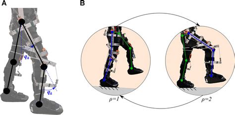 Frontiers Closed Loop Torque And Kinematic Control Of A Hybrid Lower Limb Exoskeleton For