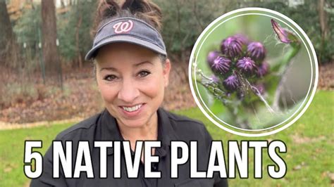 5 Awesome Native Plants For The Shade And Woodland Youtube