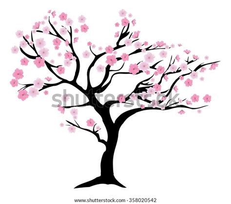 Vector Illustration Chery Tree Blossom Stock Vector Royalty Free
