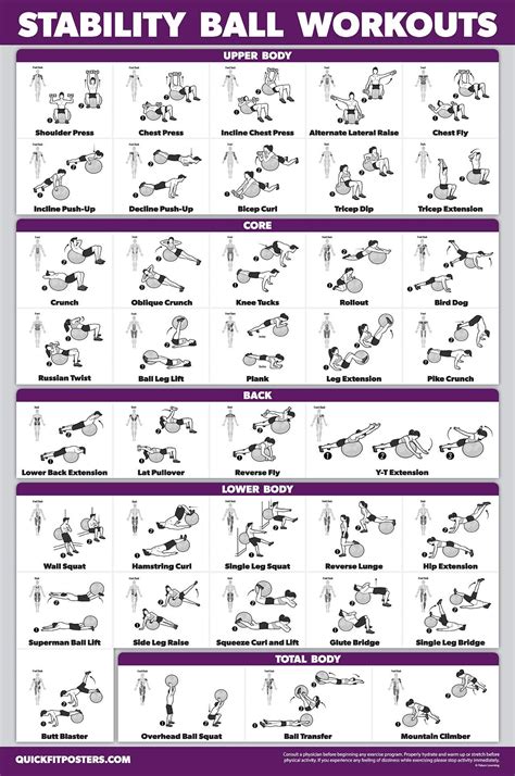 Quickfit Exercise Ball Workout Poster Stability Ball Routine