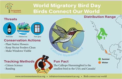 Resources World Migratory Bird Day