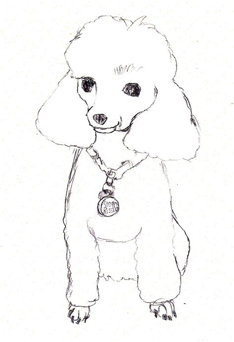 23 Great Images Cute Poodle Coloring Pages Poodle Coloring Pages