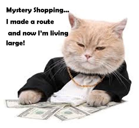 This way, even if people directly steal the meme, you are still. #mysteryshopping cat! Making routes brings in the big ...