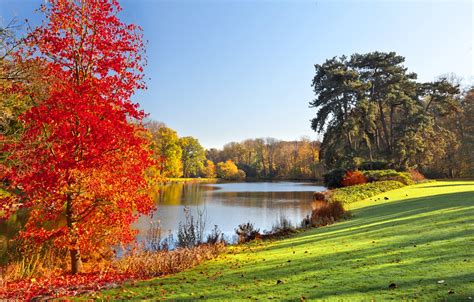 Wallpaper Autumn Grass Leaves Trees Nature Lake Grass Trees
