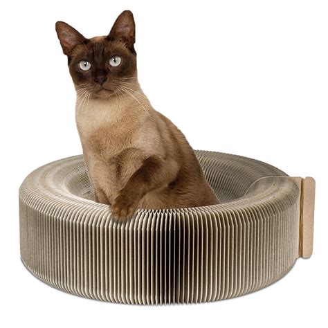 Pawaboo Cat Scratcher Lounge Bed Premium Collapsible Recycled