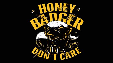 Honey Badger Wallpapers Top Free Honey Badger Backgrounds