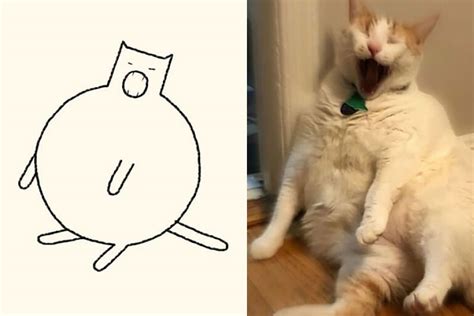 Top More Than 72 Funny Cat Sketch Super Hot Vn