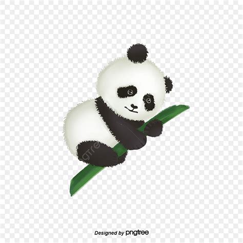 Lo Stile Di Disegno Del Panda Gigante Gli Animali Carino Il Panda