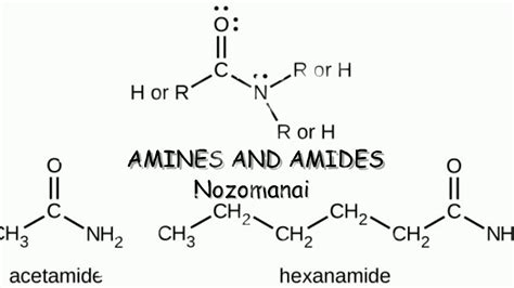 Amines And Amides Youtube