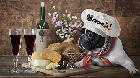Their short stature and flat faces mean special food is required. 10 Common Mistakes when Feeding a French Bulldog