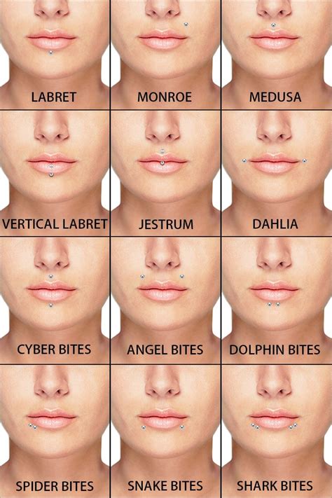 The Beginner S Guide To Lip Piercings FreshTrends Blog