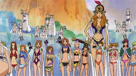 Suku Suku Yang Ada Di Anime One Piece Animecomzone