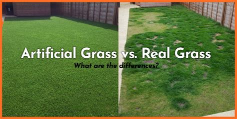 Artificial Grass Vs Real Grass What You Need To Know Bella Turf