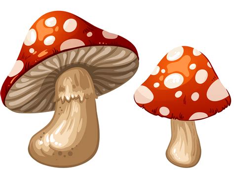 Mushrooms Png Clip Art Best Web Clipart